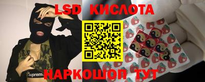 мяу мяу мука Новодвинск