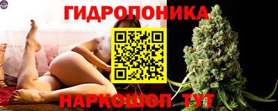 мяу мяу мука Новодвинск