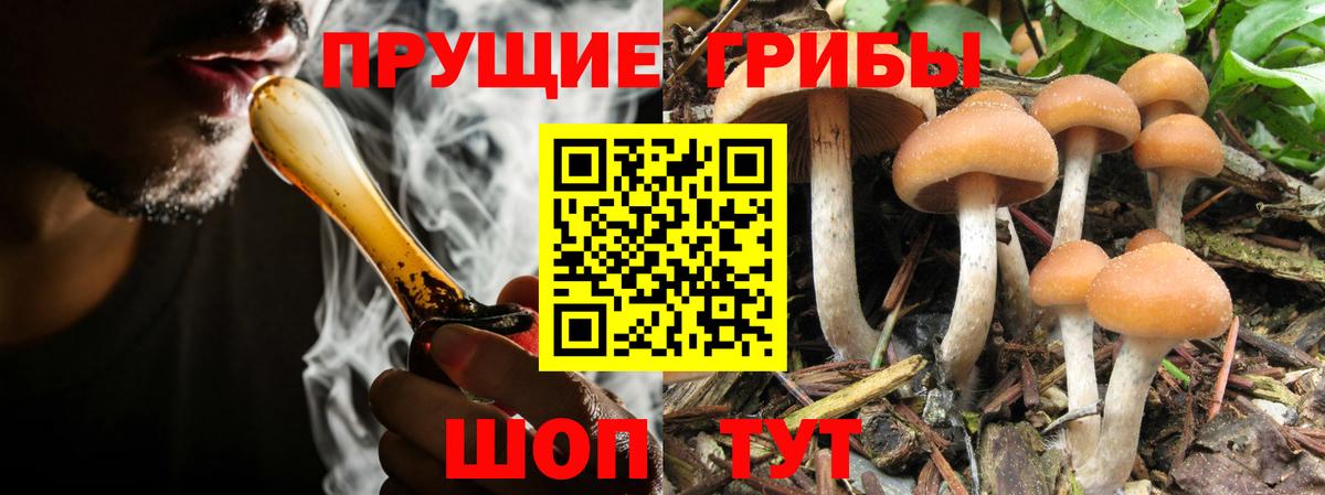 Псилоцибиновые грибы Cubensis  Галлюциногенные грибы мицелий  цена наркотик  Елец  Вход с VPN 